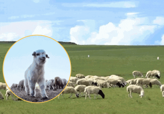 洗完澡3分钟做好这件事皮肤真的会变嫩(图1)